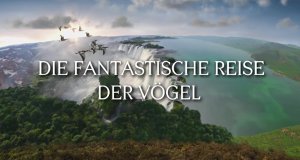 Die fantastische Reise der Vögel – Bild: arte/Screenshot