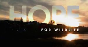 Hope – Schutzengel der Wildtiere – Bild: Arcadia Entertainment Inc.