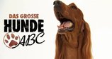 Das große Hunde-ABC – Bild: TLC