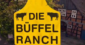 Die Büffelranch – Bild: ZDF (Screenshot)