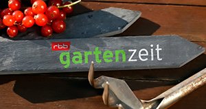 rbb Gartenzeit – Bild: rbb