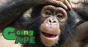 Dschungelmission – Einsatz für die Affen – Bild: Animal Planet Dschungelmission – Einsatz für die Affen – Bild: Animal Planet