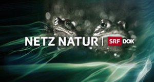 Netz Natur – Bild: SRF