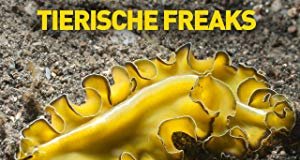Verrückte Tierwelt – Bild: National Geographic Channel Verrückte Tierwelt – Bild: National Geographic Channel