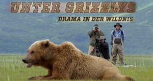 Unter Grizzlys – Bild: ZDF Unter Grizzlys – Bild: ZDF