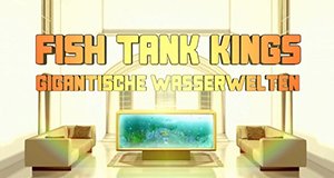 Fish Tank Kings – Gigantische Wasserwelten