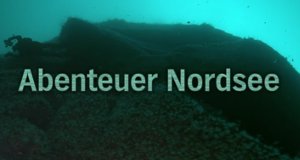 Abenteuer Nordsee – Bild: BR (Screenshot)