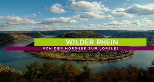 Wilder Rhein – Bild: arte