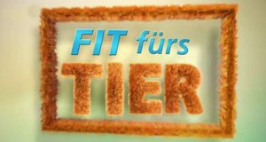 Fit fürs Tier – Bild: AZ Media TV Fit fürs Tier – Bild: AZ Media TV