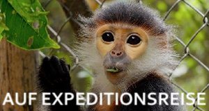 Auf Expeditionsreise – Bild: arte