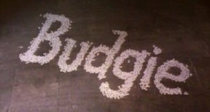 Budgie – Bild: ITV