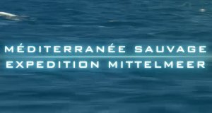 Expedition Mittelmeer – Bild: arte Expedition Mittelmeer – Bild: arte