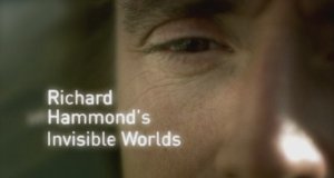 Richard Hammonds unsichtbare Welten – Bild: BBC