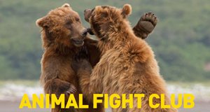 Animal Fight Club – 