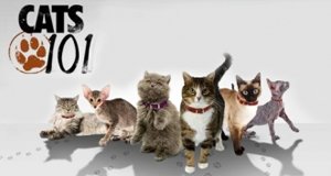 Das große Katzen-ABC – Bild: Discovery Communications, LLC. Das große Katzen-ABC – Bild: Discovery Communications, LLC.
