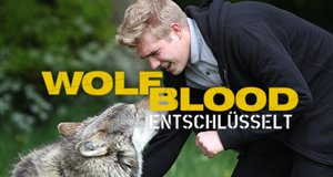 Wolfblood entschlüsselt – Bild: ZDF Enterprises Wolfblood entschlüsselt – Bild: ZDF Enterprises