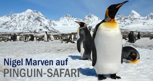 Nigel Marven auf Pinguin-Safari