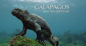 Galapagos – Bild: Sky1 Galapagos – Bild: Sky1