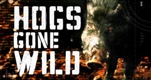 Hogs Gone Wild – Bild: Discovery Communications, LLC./Screenshot Hogs Gone Wild – Bild: Discovery Communications, LLC./Screenshot