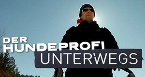 Der Hundeprofi unterwegs – Bild: VOX Der Hundeprofi unterwegs – Bild: VOX