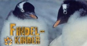 Findelkinder – Bild: Animal Planet Findelkinder – Bild: Animal Planet