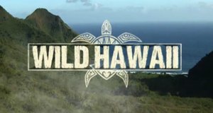 Wildes Hawaii