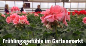 Frühlingsgefühle im Gartenmarkt – Bild: NDR Frühlingsgefühle im Gartenmarkt – Bild: NDR