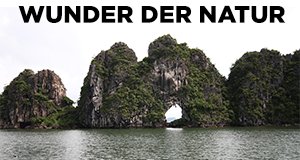 Wunder der Natur – Bild: RB/Leonardo Film Wunder der Natur – Bild: RB/Leonardo Film