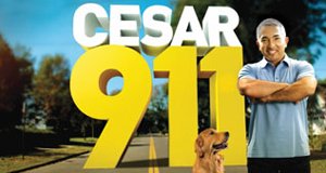 Notruf Hund – Einsatz für Cesar – Bild: Nat Geo Wild