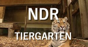 NDR Tiergarten