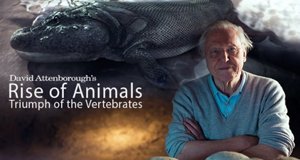 Tierische Evolution mit David Attenborough – Bild: BBC Tierische Evolution mit David Attenborough – Bild: BBC