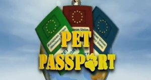 Check-in für Tiere – Bild: Animal Planet/Screenshot Check-in für Tiere – Bild: Animal Planet/Screenshot