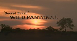 Schätze Brasiliens – Das Pantanal