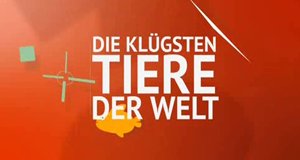 Die klügsten Tiere der Welt – Bild: BBC