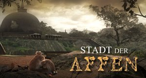Stadt der Affen – Bild: Discovery Networks