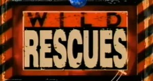 Rettung aus höchster Not – Bild: Discovery Communications, LLC./Screenshot Rettung aus höchster Not – Bild: Discovery Communications, LLC./Screenshot
