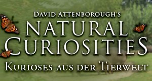 Kurioses aus der Tierwelt – Bild: ARTE France/S. Dunleavy/Humble Bee Films