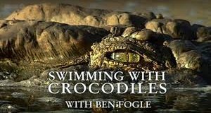 Krokodile hautnah – Bild: BBC Two/Screenshot Krokodile hautnah – Bild: BBC Two/Screenshot