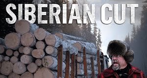Siberian Cut – Holzfäller am Limit