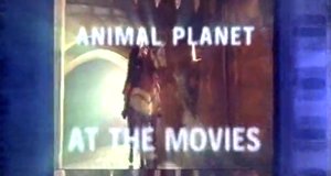Kinostars – Bild: Animal Planet/Screenshot
