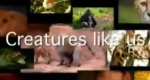 Zoogeflüster – Bild: Animal Planet Zoogeflüster – Bild: Animal Planet