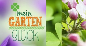 Mein Gartenglück – Bild: Sat.1 Gold