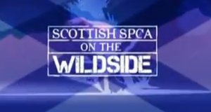 Tierrettung Schottland – Bild: Animal Planet/Screenshot