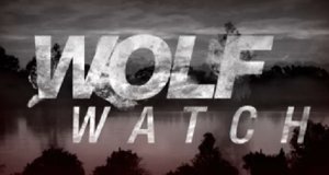 Wolf Watch