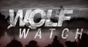 Wolf Watch – Bild: MTV/Screenshot Wolf Watch – Bild: MTV/Screenshot