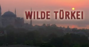 Wilde Türkei – Bild: NDR