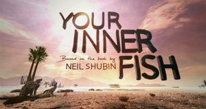 Der Fisch in uns – Bild: PBS/Screenshot Der Fisch in uns – Bild: PBS/Screenshot