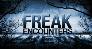 Freak Encounters – Bild: Animal Planet Freak Encounters – Bild: Animal Planet