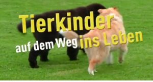 Tierkinder auf dem Weg ins Leben – Bild: HR Tierkinder auf dem Weg ins Leben – Bild: HR