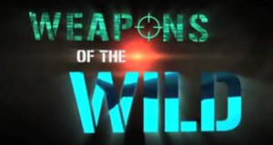 Weapons of the Wild – Waffen im Reich der Tiere